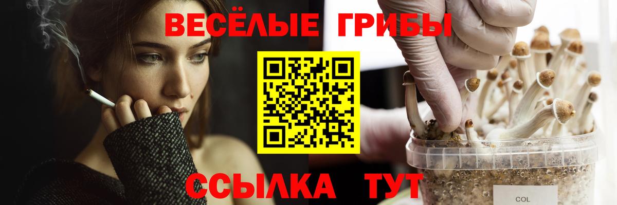 Анапа  Галлюциногенные грибы ЛСД  Вход с VPN  Галлюциногенные грибы Psilocybine cubensis 